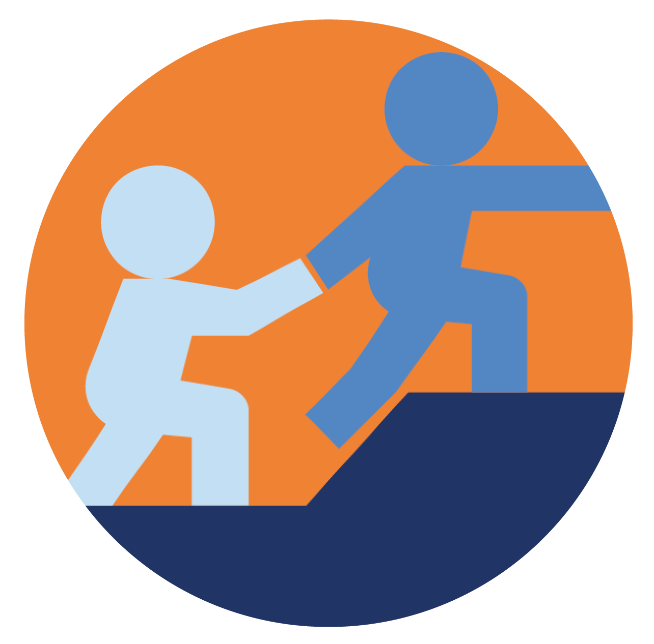 Health IT Mentorship Icon